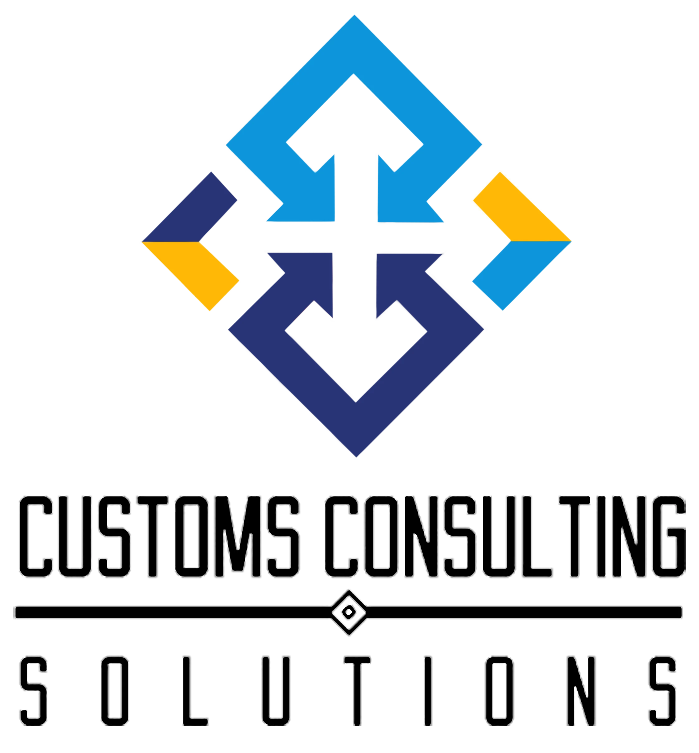 Customs Consulting Solutions Elp LLC
